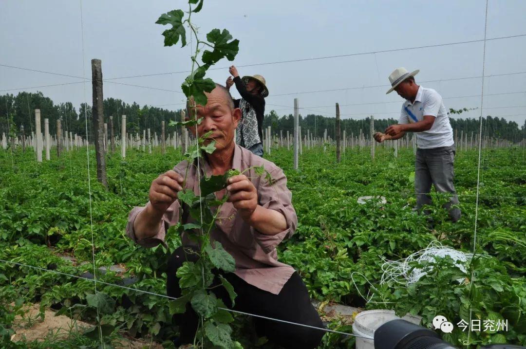 兖州漕河新闻动态更新，最新消息汇集