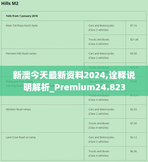 2024新澳最准确资料,专业说明解析_复古版28.307