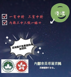 王中王一肖一特一中一澳｜全面把握解答解释策略