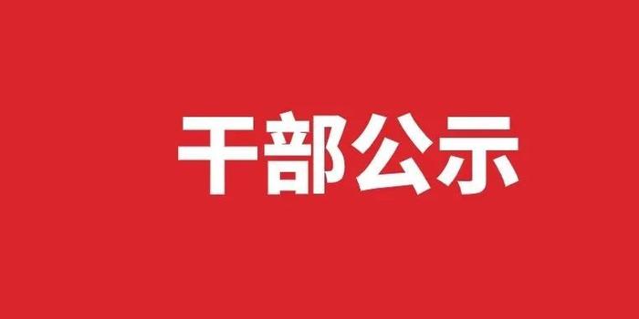 宁夏最新干部公示亮相，新时代领导力的13位精英展现风采