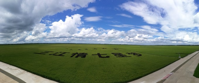 七星泡农场天气预报更新通知