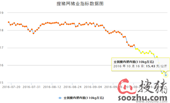 冯冯永辉最新分析，猪价走势揭秘，多重因素影响猪肉市场展望